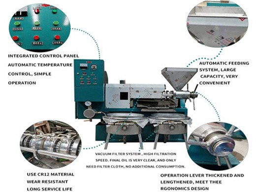 Prix de la machine d’extrudeuse d’huile de soja Togo 40 kg/h-production d’huile