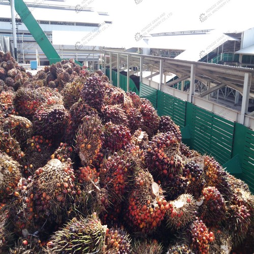 effet des paramètres de la presse hydraulique sur le rendement en huile de palme brute