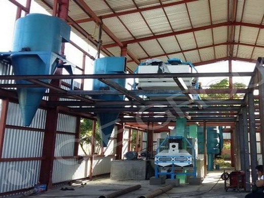 Moulin à huile de soja de grande capacité fabrication de tourteaux de soja au Cameroun